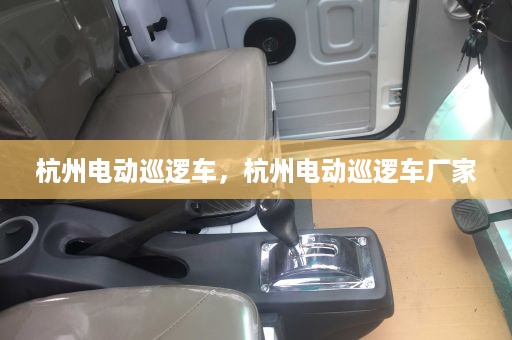 杭州电动巡逻车，杭州电动巡逻车厂家